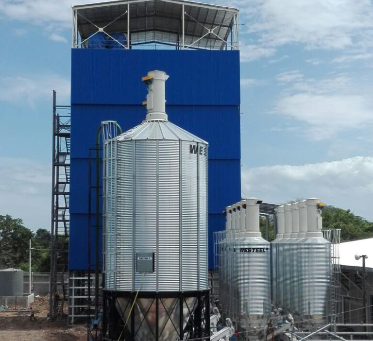 Vitapro Planta Industrial – Yojoa